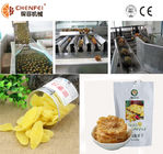 Automatic Dried Preserved Pineapple Processing Line Stable High Efficiency